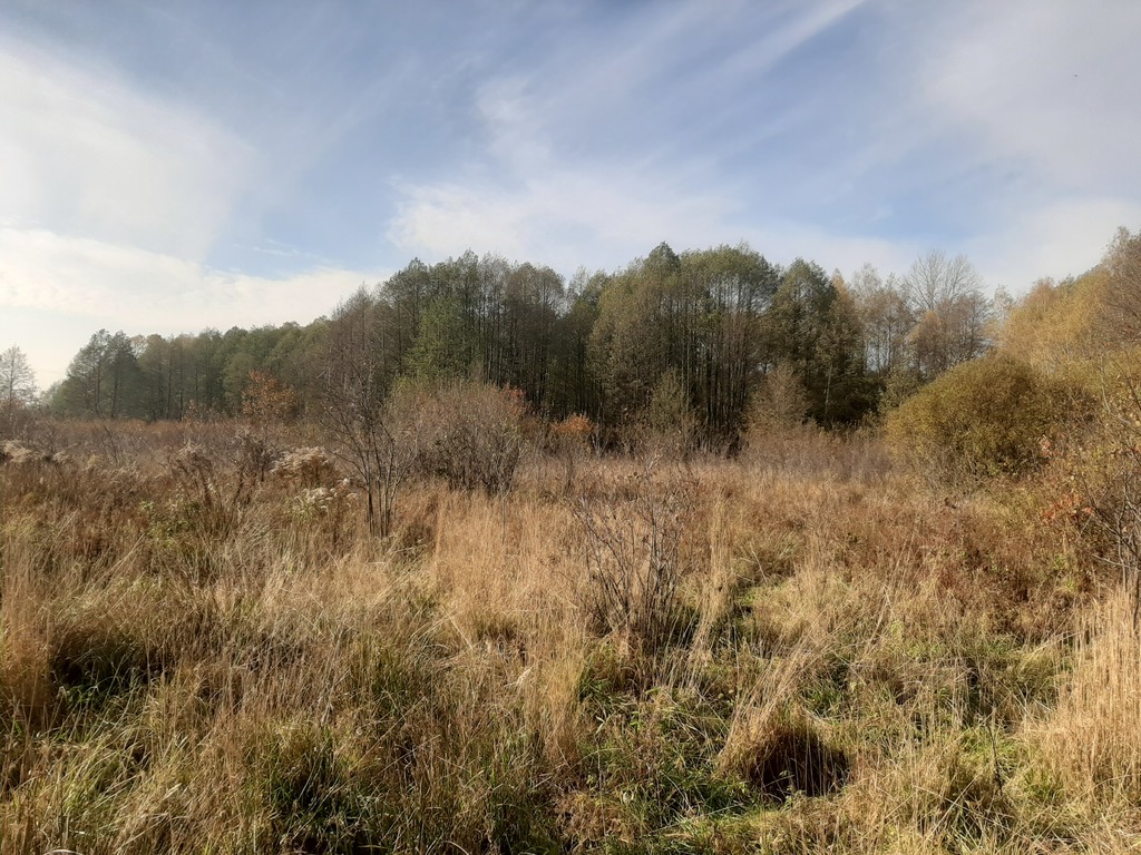 Działka – Ostrów