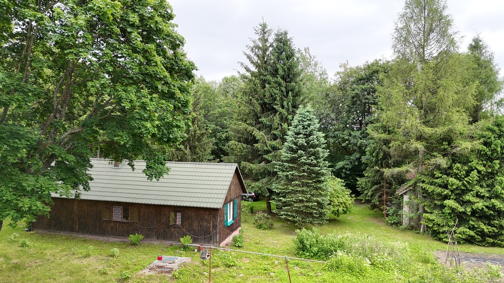 Działka – Dziewięcierz