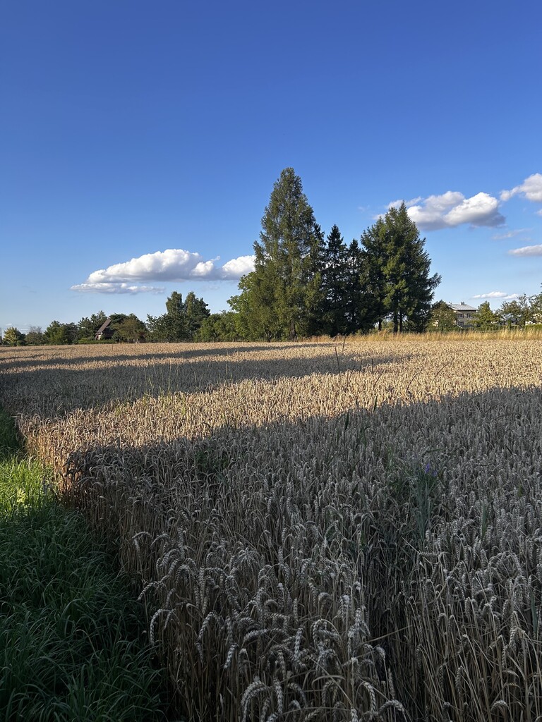 Działka – Goleszów