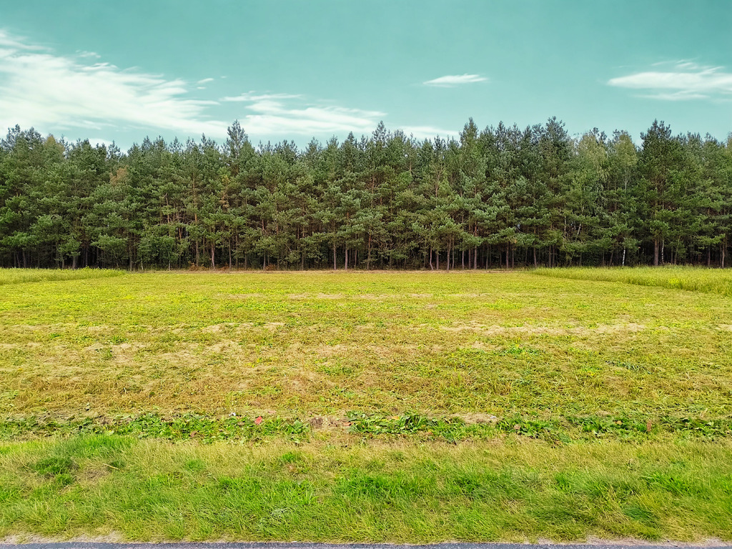 Działka – Puchacze