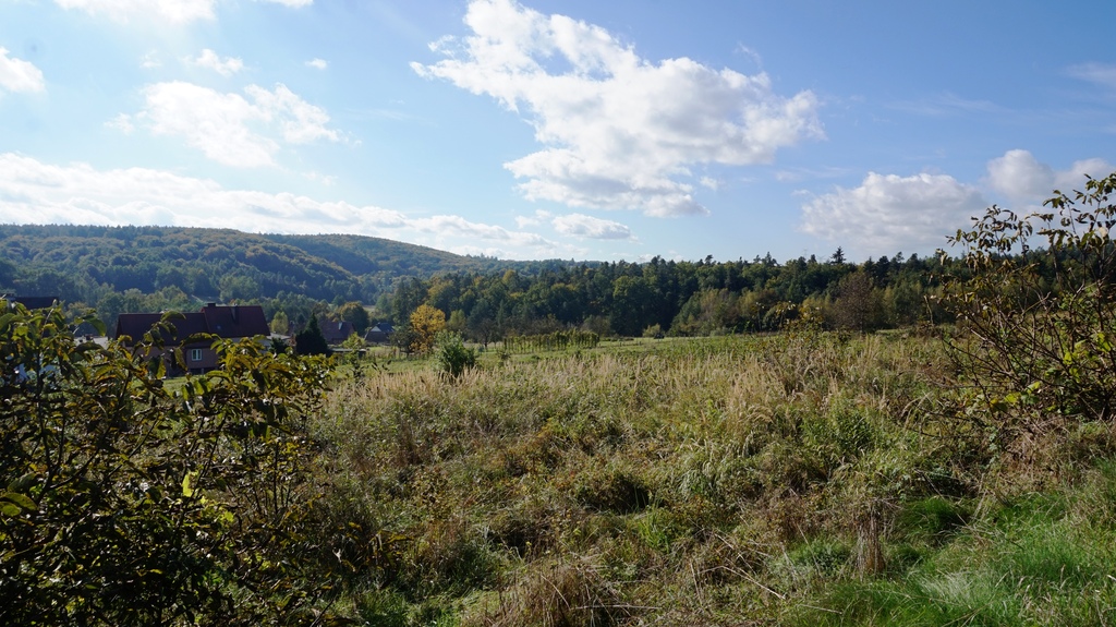 Działka – Bochnia