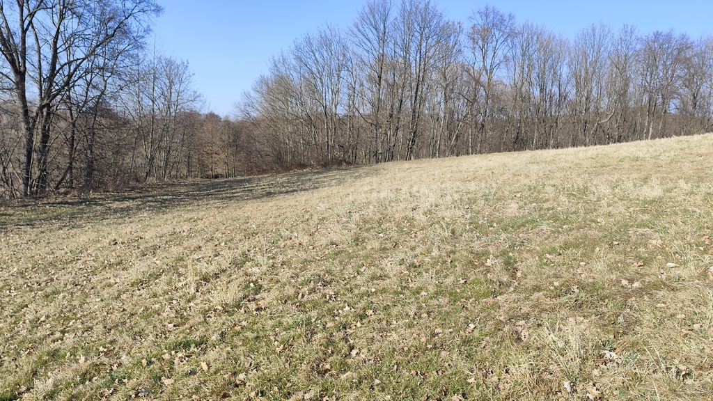 Działka – Osina Mała