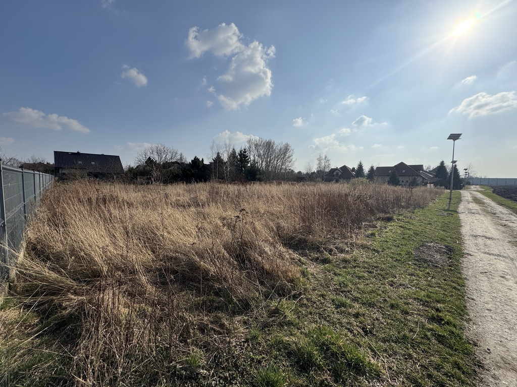 Działka – Święta Katarzyna