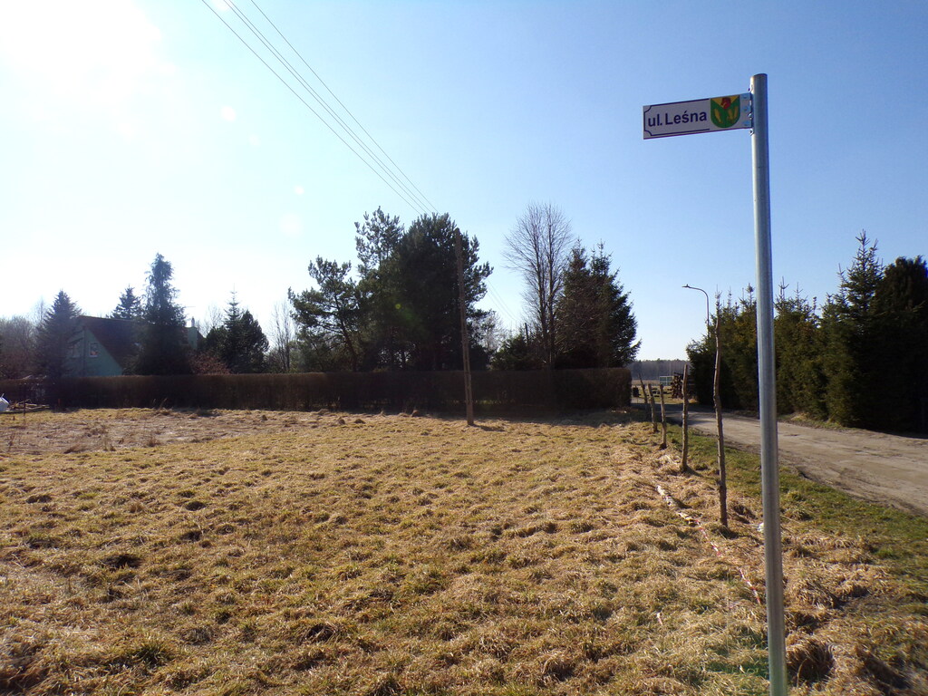 Działka – Sycewice, Leśna