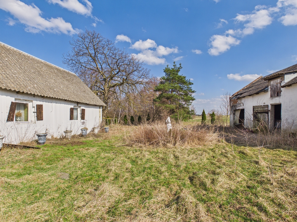 Działka – Rysiny-Kolonia