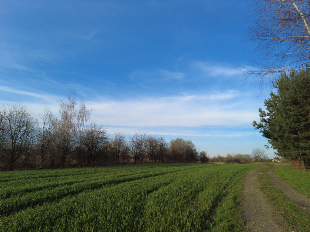 Działka – Cikowice